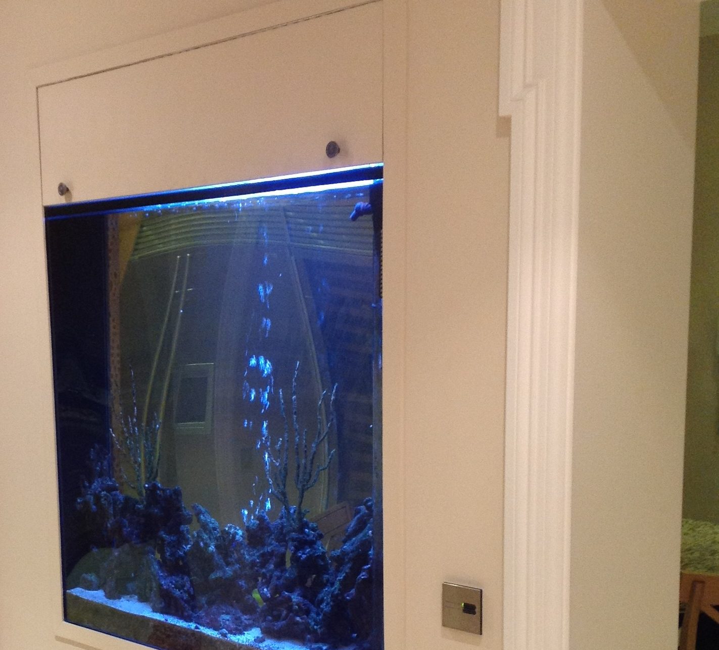 leather panels around tank